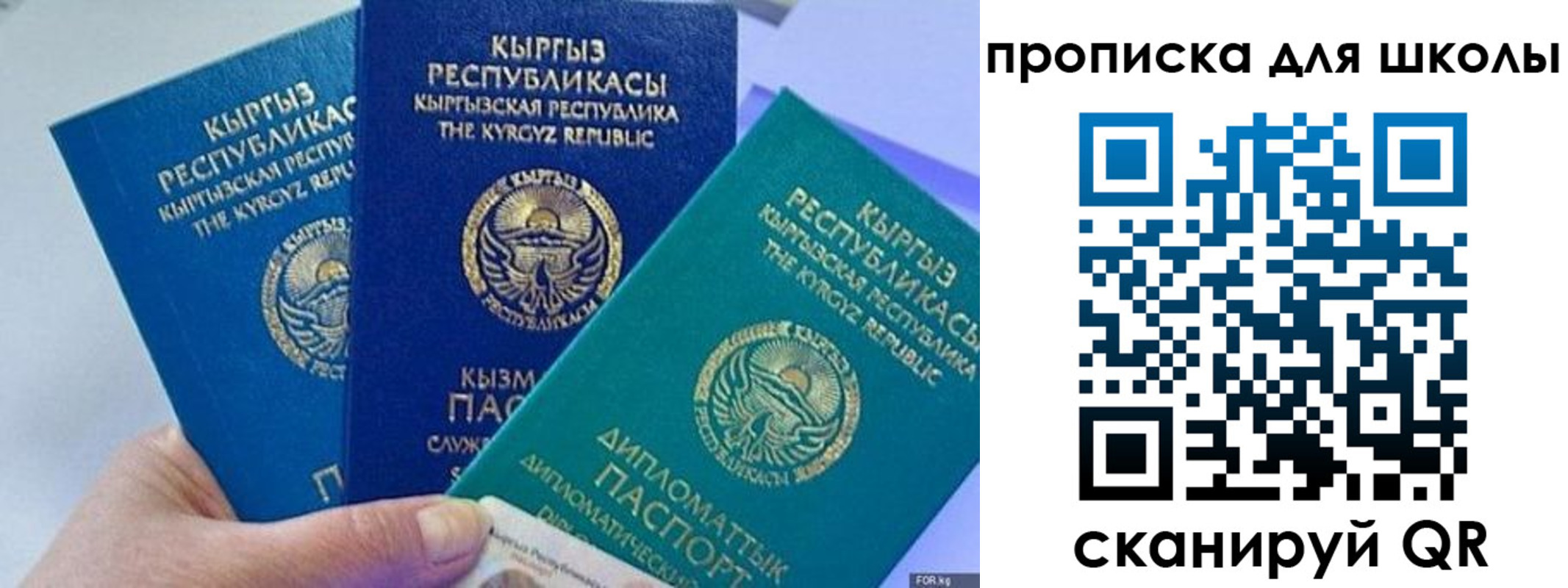 прописка регистрация в Владимире